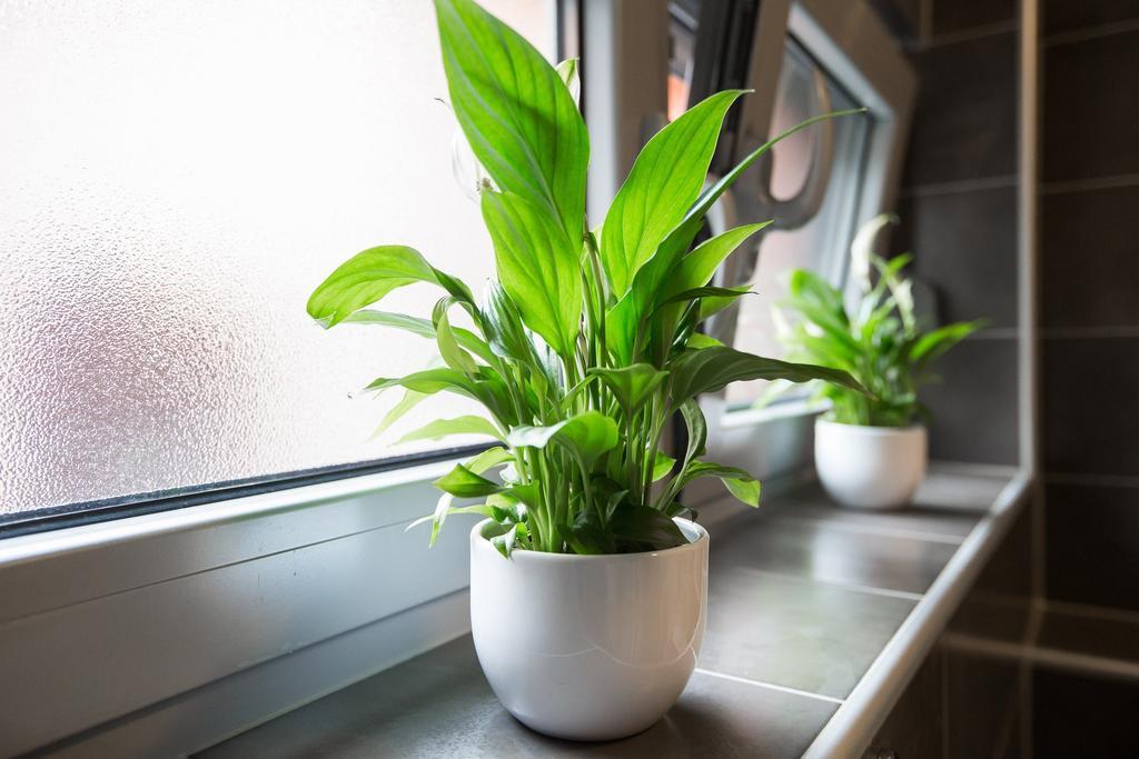 Apartment Max Zagreb Ngoại thất bức ảnh